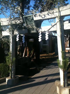 image-20110102233723.png