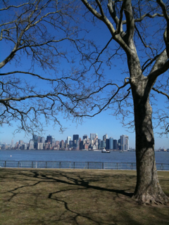 image-20110317152302.png
