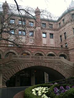 image-20110317192219.png