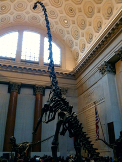 image-20110317192335.png