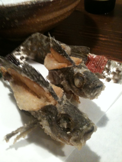 image-20110510213312.png