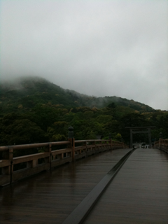 image-20110511110943.png