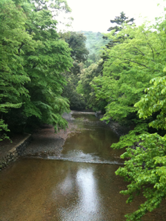 image-20110511111201.png