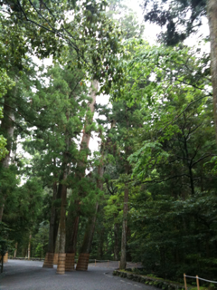 image-20110511111224.png