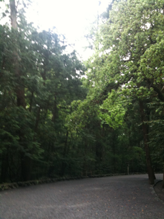 image-20110511111250.png