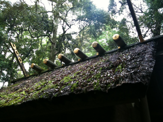 image-20110511111434.png