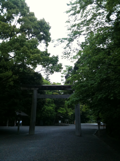 image-20110511111519.png