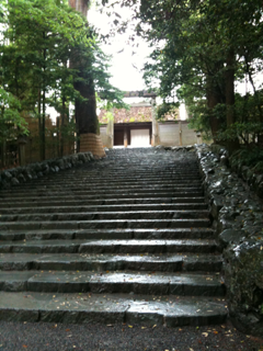 image-20110511114541.png