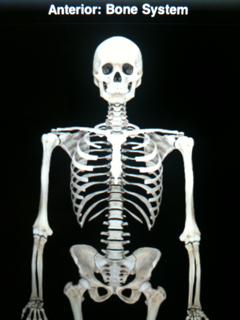 image-20110702215534.png