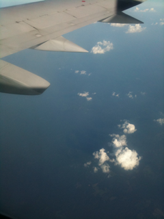 image-20110804071459.png